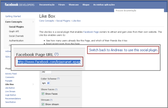 Facebook - Insira o endereço da sua Página Facebook no campo Facebook Page URL.